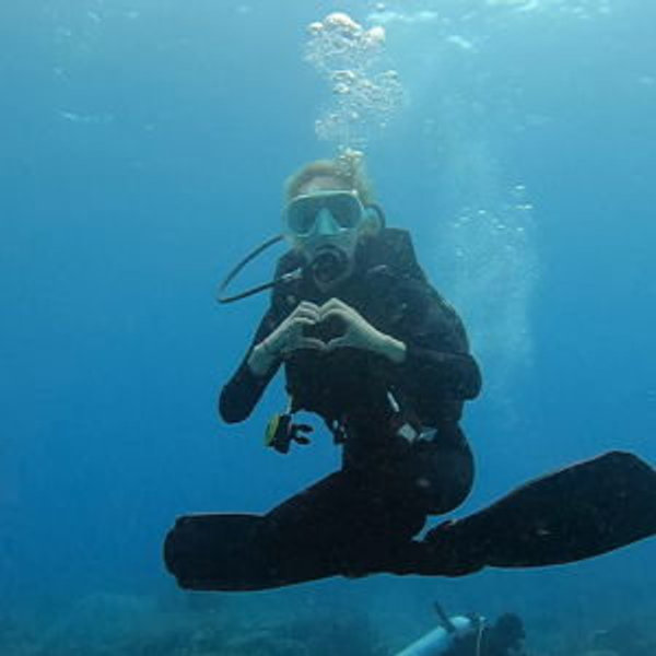 Subadiving On Our Honeymoon