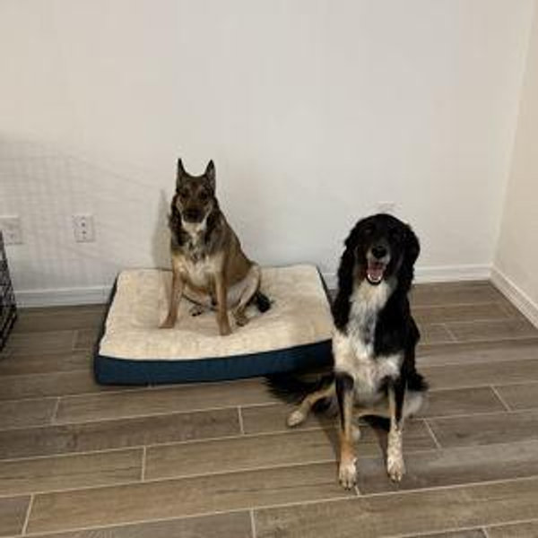 Bear & Milo's Fund