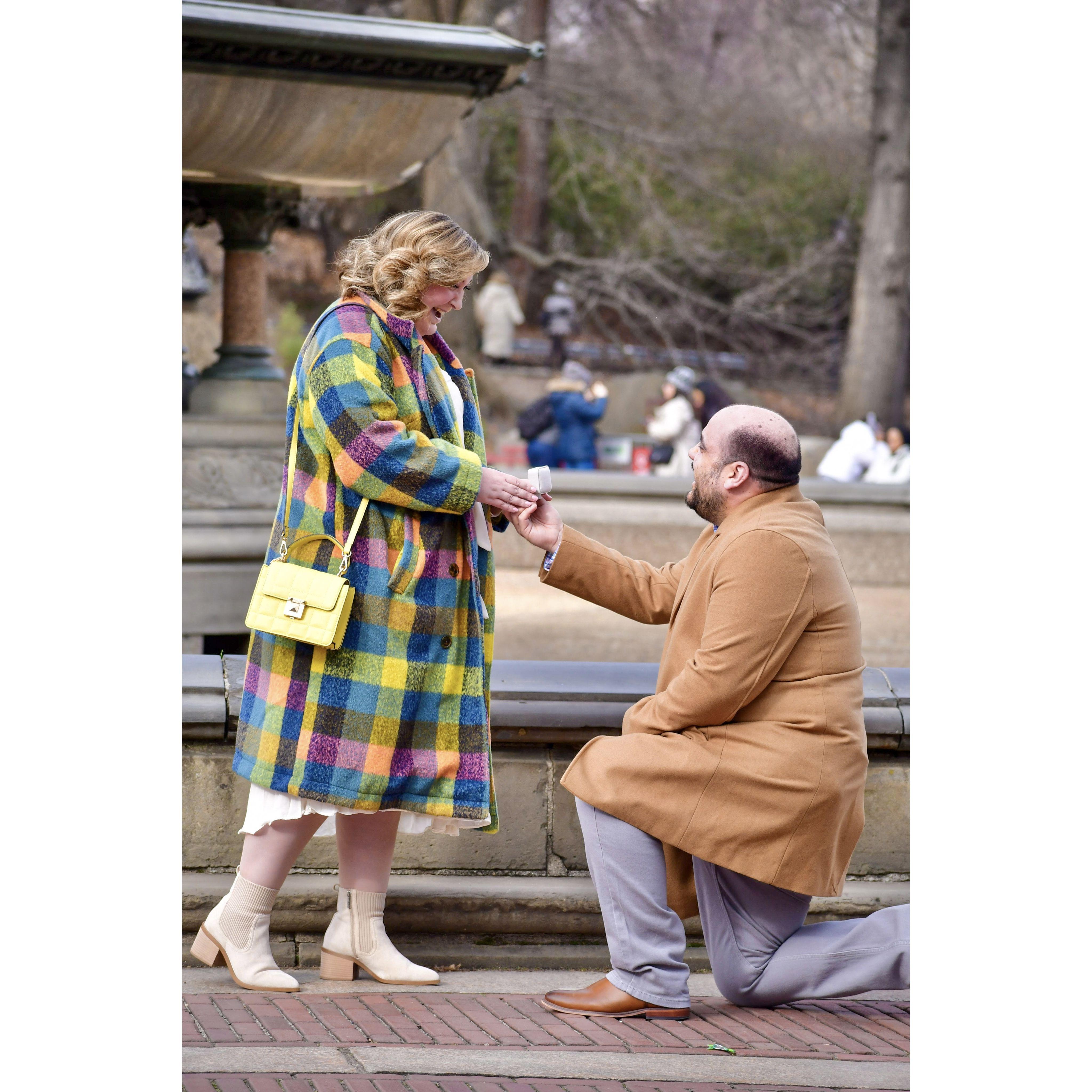 Central Park - January 22, 2023