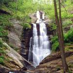 Toms Creek Falls Trail