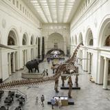 Field Museum