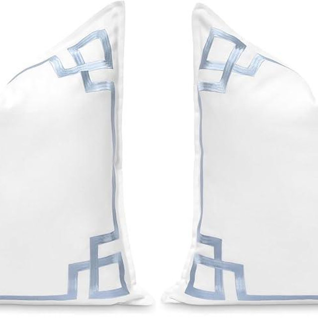 Hofdeco Premium Coastal Patio Indoor Outdoor Throw Pillow Cover Only, 20"x20" Water Repellent for Backyard, Couch, Baby Blue Embroidered Frame Greek Key (Pack of 2)