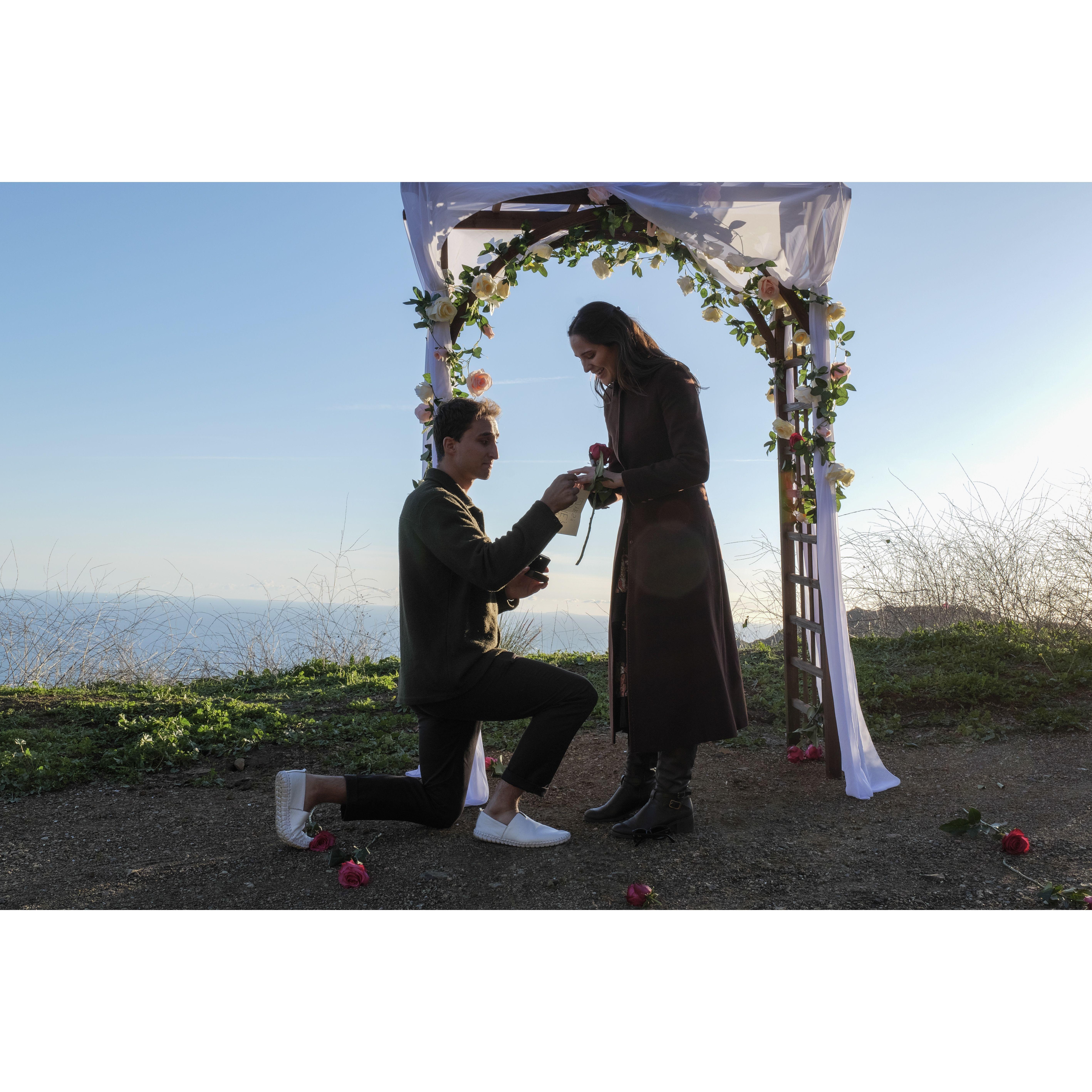 Proposal in Malibu!
