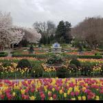 Atlanta Botanical Garden
