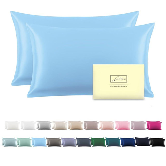 Silk Pillow Cases 2 Pack Soft Breathable and Sliky Standard Size Pillow Cases Set of 2,Natural Mulberry Satin Silk Pillowcase with Hidden Zipper for Hair and Skin (Sky Blue,20"X 26",2pcs)