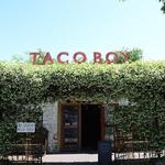 Taco Boy