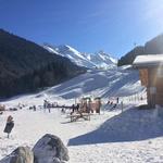 Local Ski Field | Domaine skiable