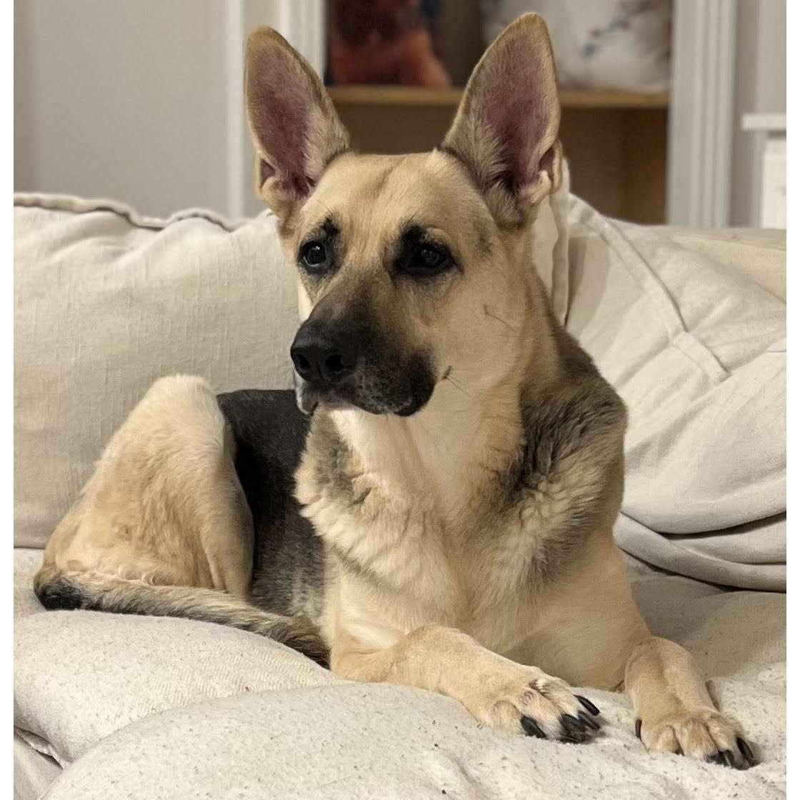 Nintendo, our old boy! Cheers to being 12 years old