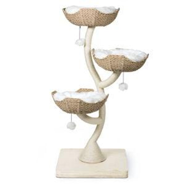 Cat Tower Ivy 3