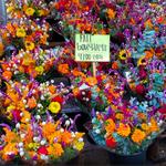 Rittenhouse Farmers' Market