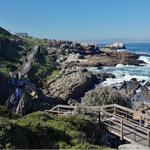Whale Coast Cliff Walk