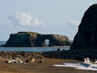 Goat Rock Beach