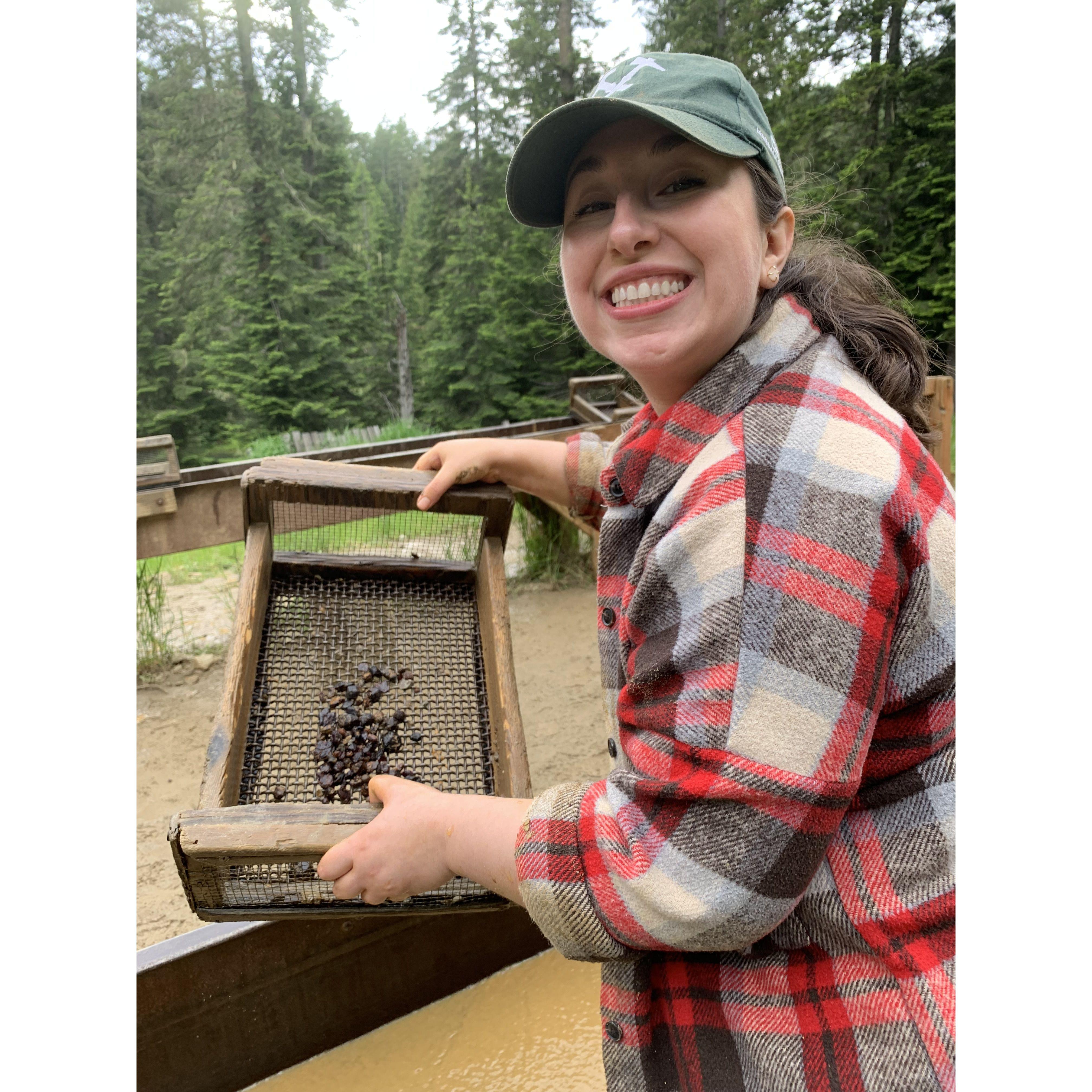 RUBIES! oh wait, nope... GARNETS!!! (Did you know they record the pressure of when the rock metamorphosed? SO COOL!)