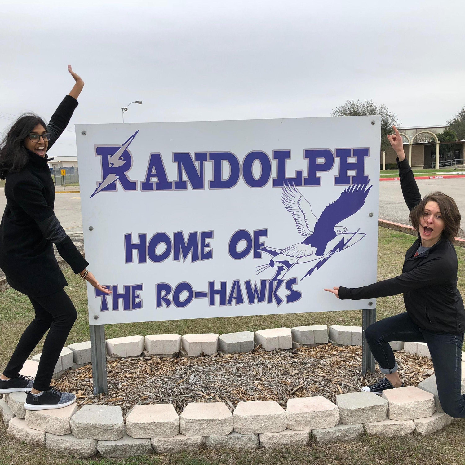 We're the Ro-Hawks and here's what's up, you haven't ever seen one cuz we made them up