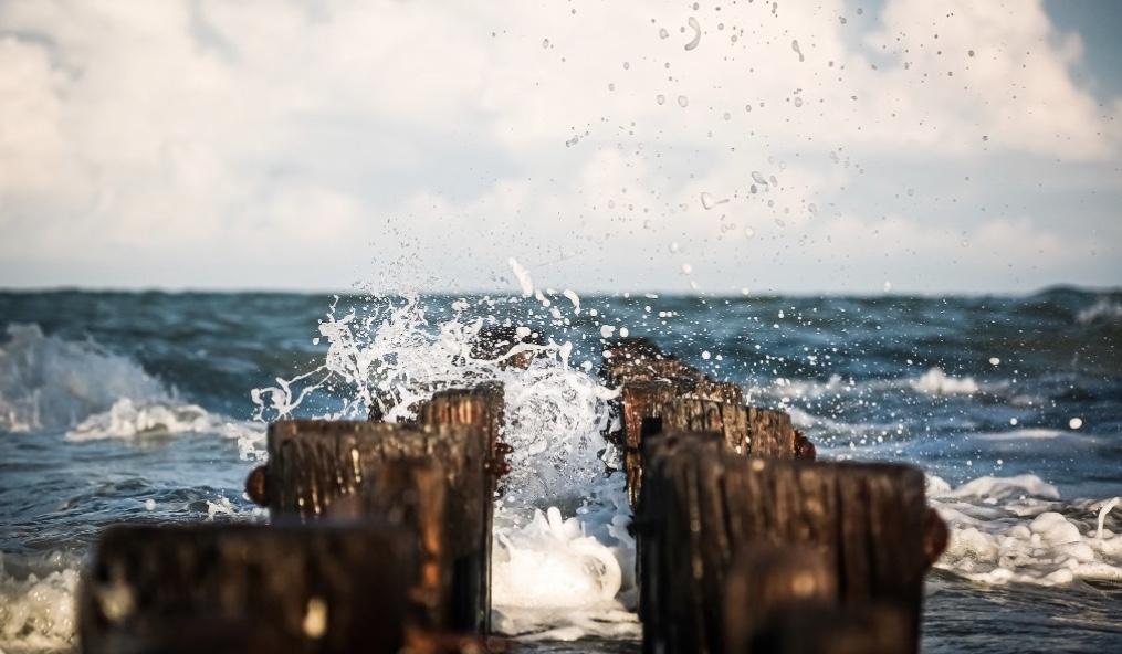 The Wedding Website of Ali Stephens and Drew Litvin