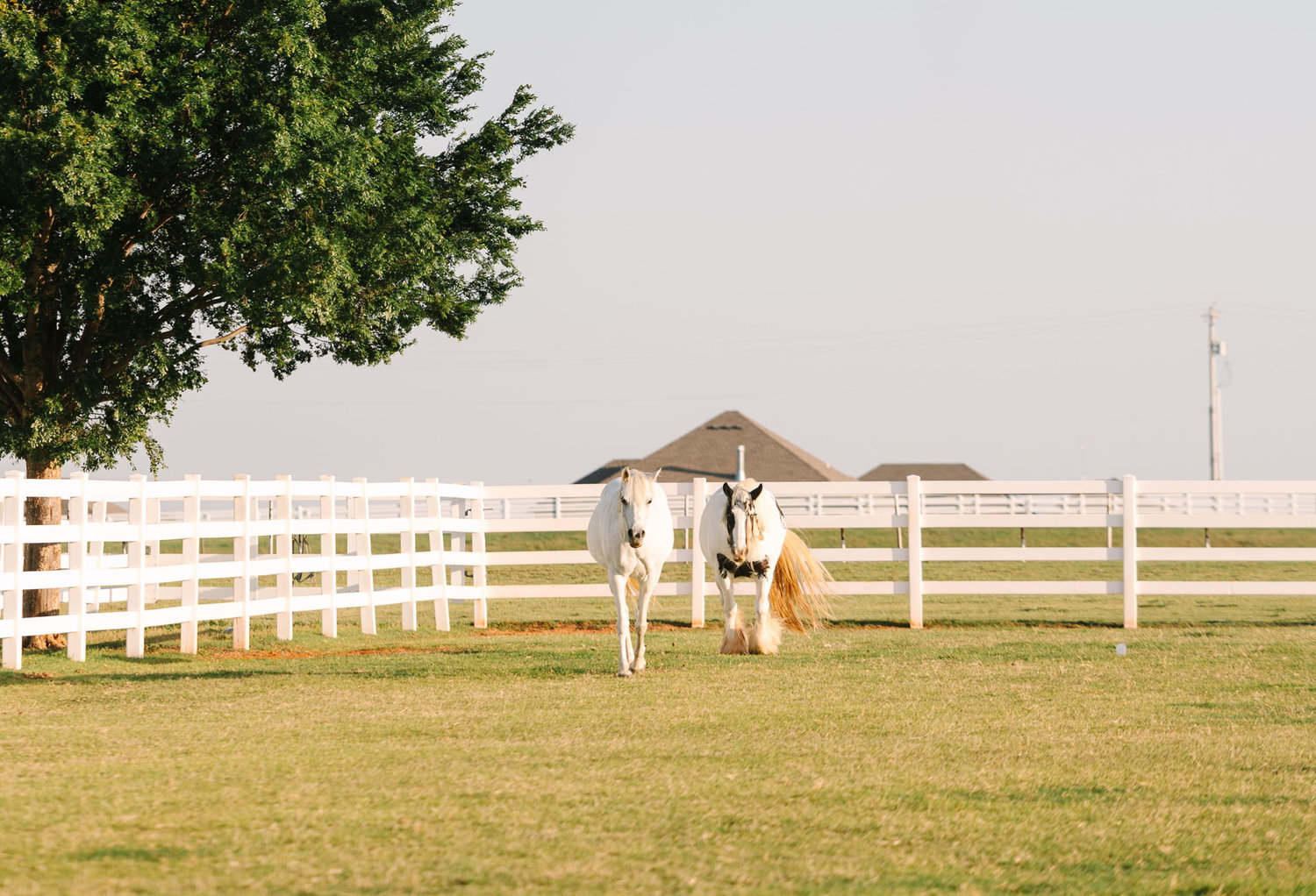 The Wedding Website of Madison Fussell and Logan Rauh