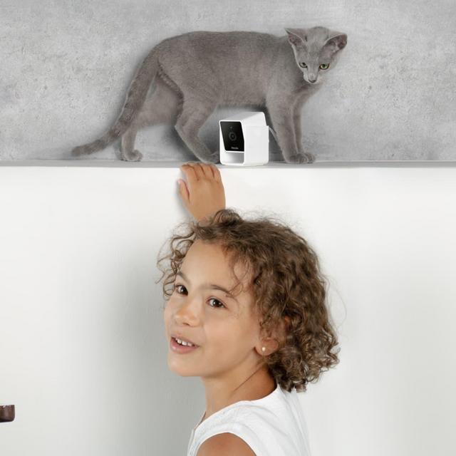 Affordable smart HD pet camera with a 24/7 Online Vet