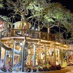 Norwood's Restaurant & Treehouse Bar