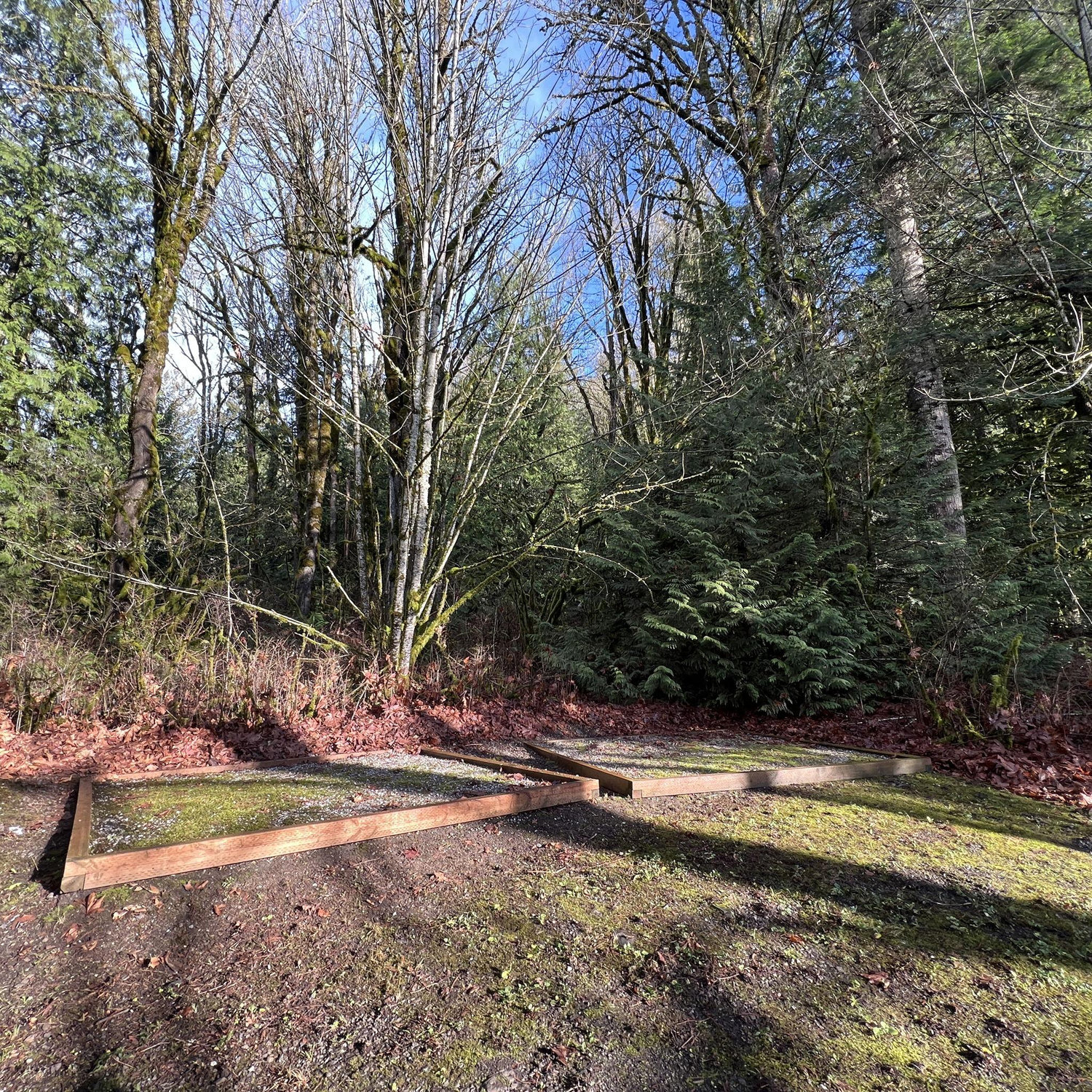 Camping sites! There are 20 established camping sites available at Camp Saturna. Bring your own tent, sleeping bag, and anything else you may need.