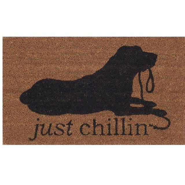 Chill Dog Doormat, 18 x 30', Ivory Multi