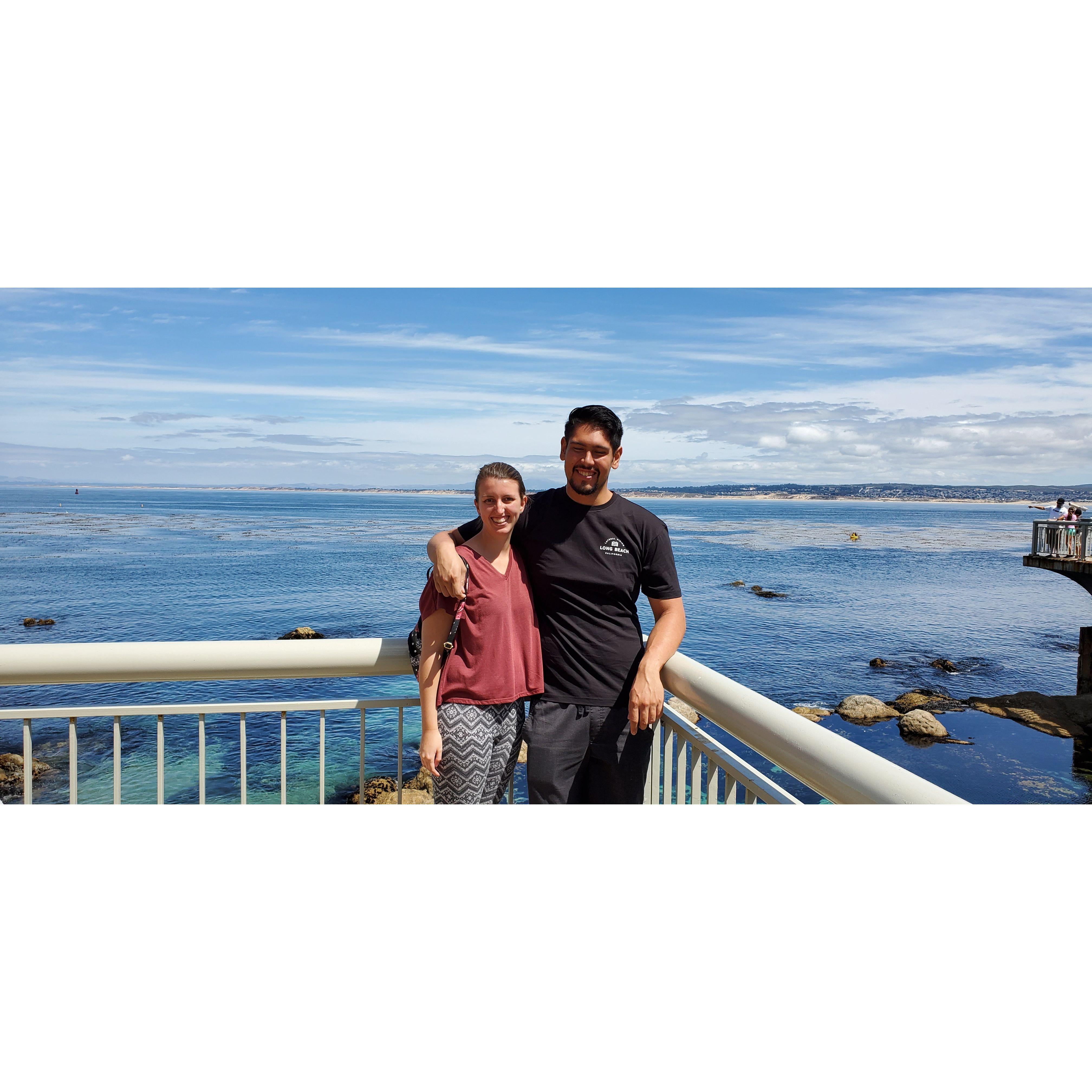 A trip to the Monterey Aquarium