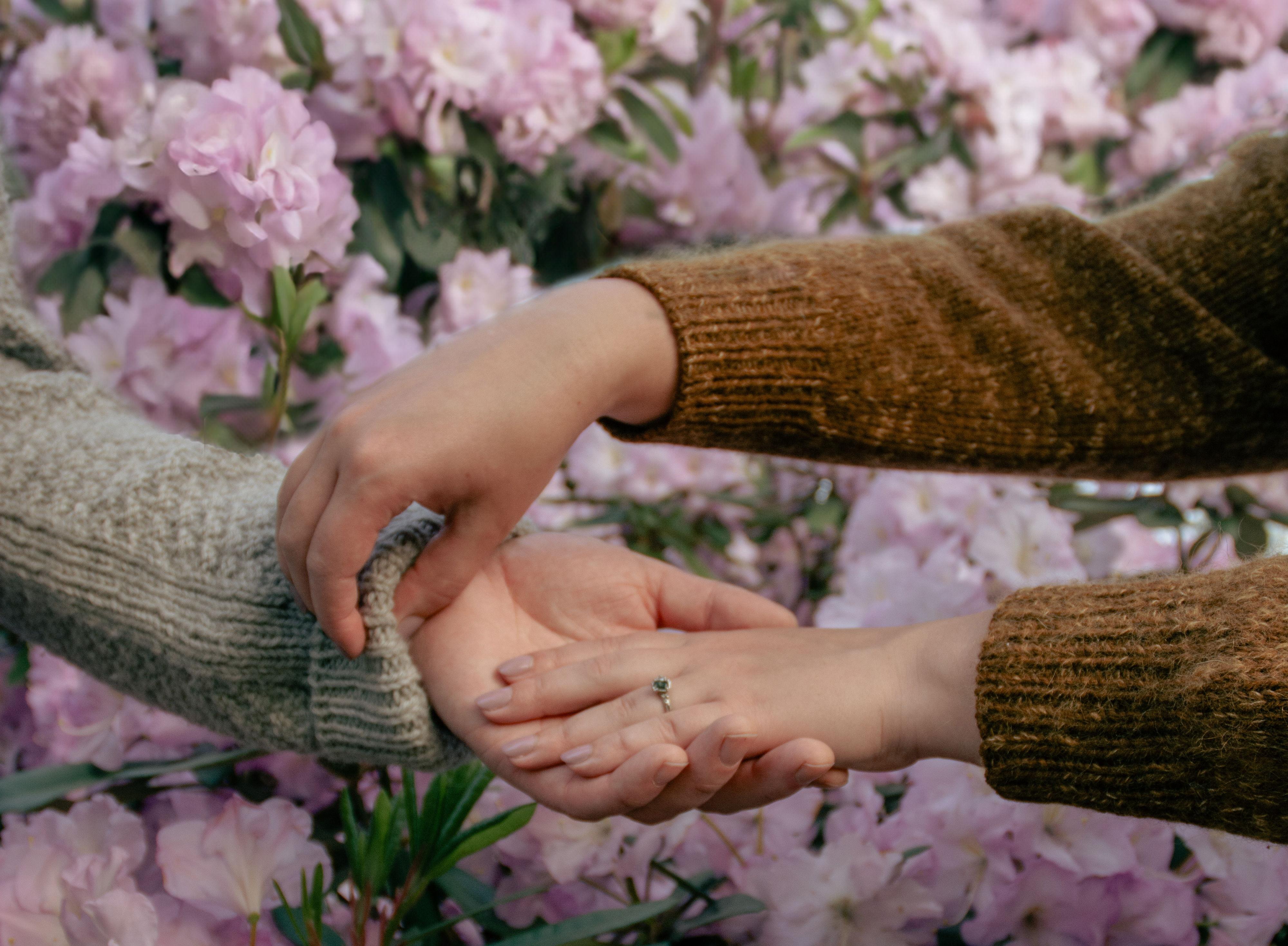 The Wedding Website of Pieter Norgaard and Madeleine Bardou-Clark