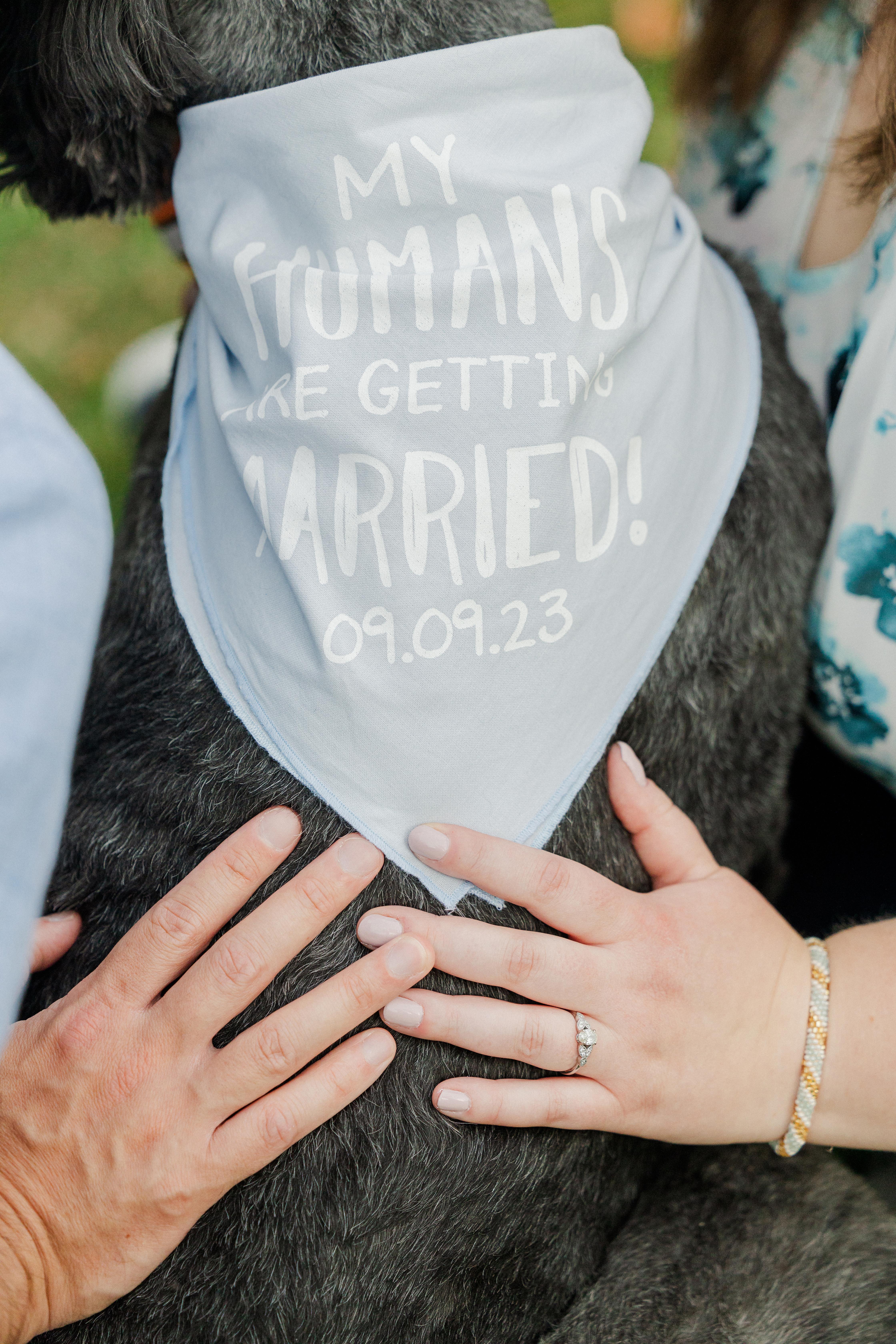 The Wedding Website of Emily Peterson and John Gerber