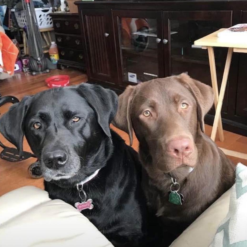 carson with his big sister bailey who he misses every day.