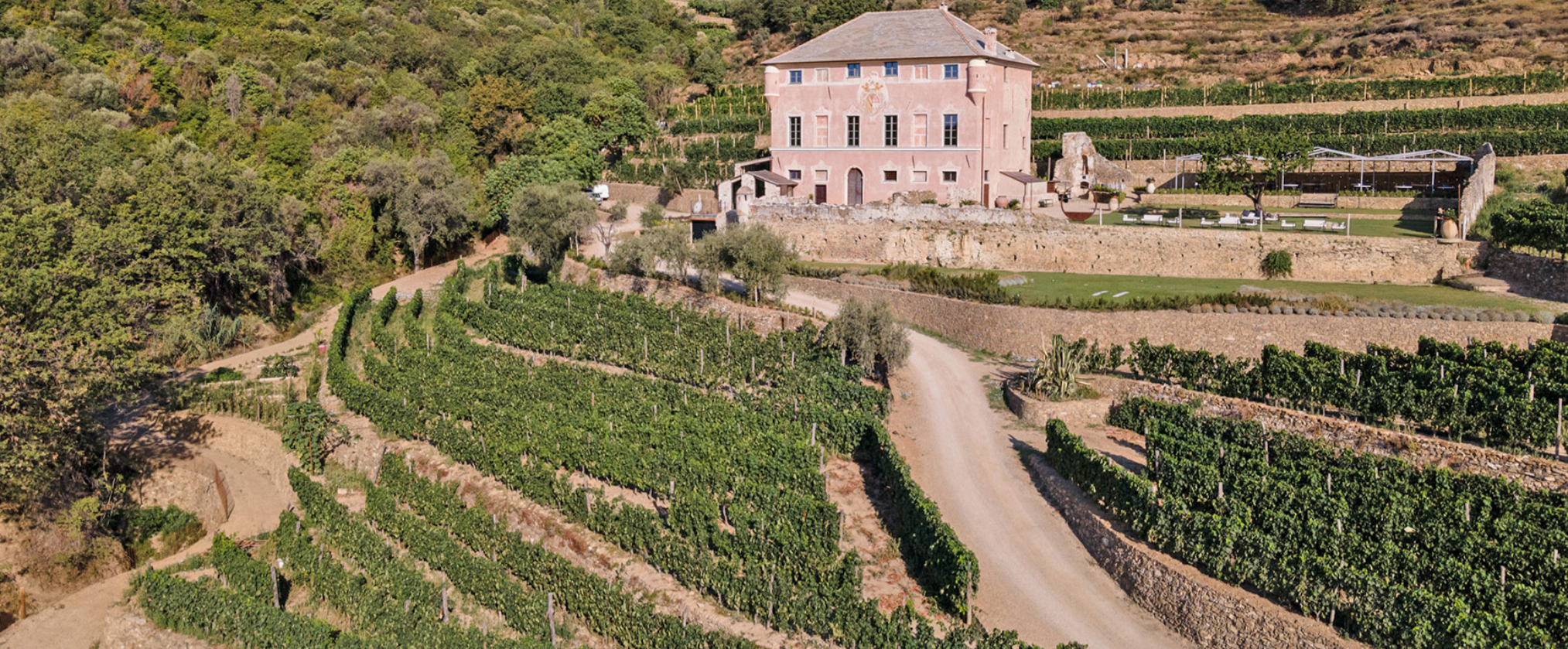 The Wedding Website of Kate Vogel and Mattan Sharvit