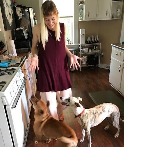 Ellen, Zippo and Keks looking for treats in the soon to be remodeled kitchen.