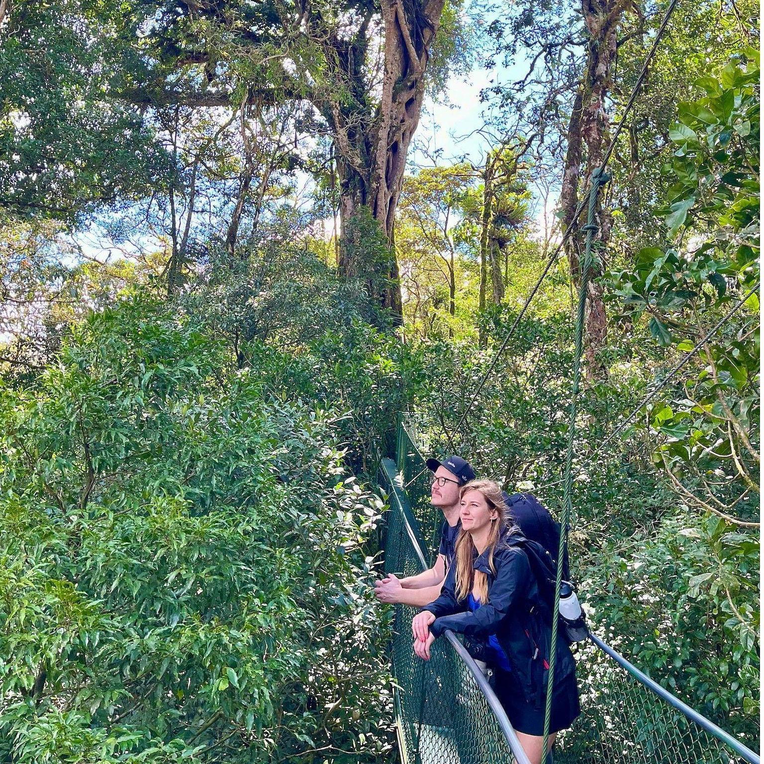 Cloud forest in Costa Rica.