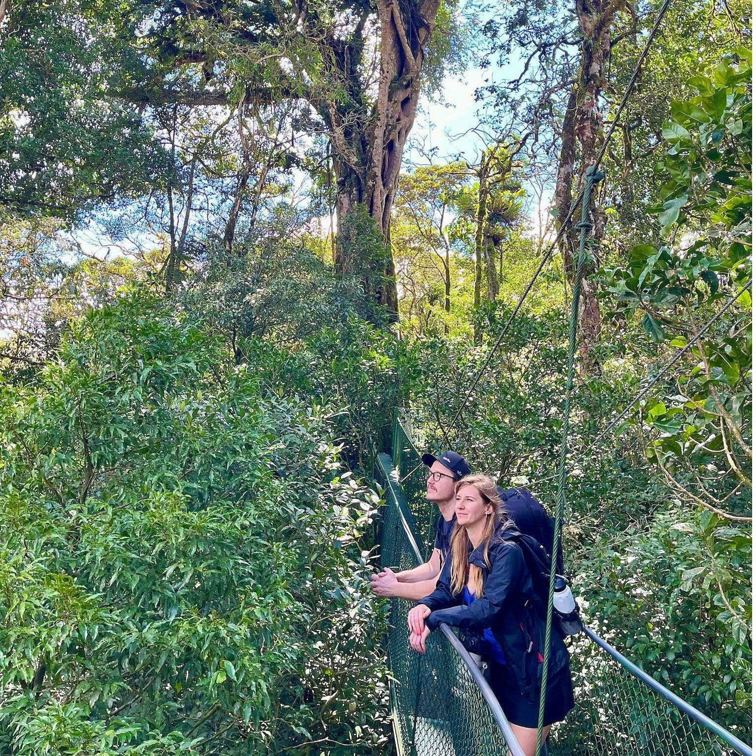 Cloud forest in Costa Rica.