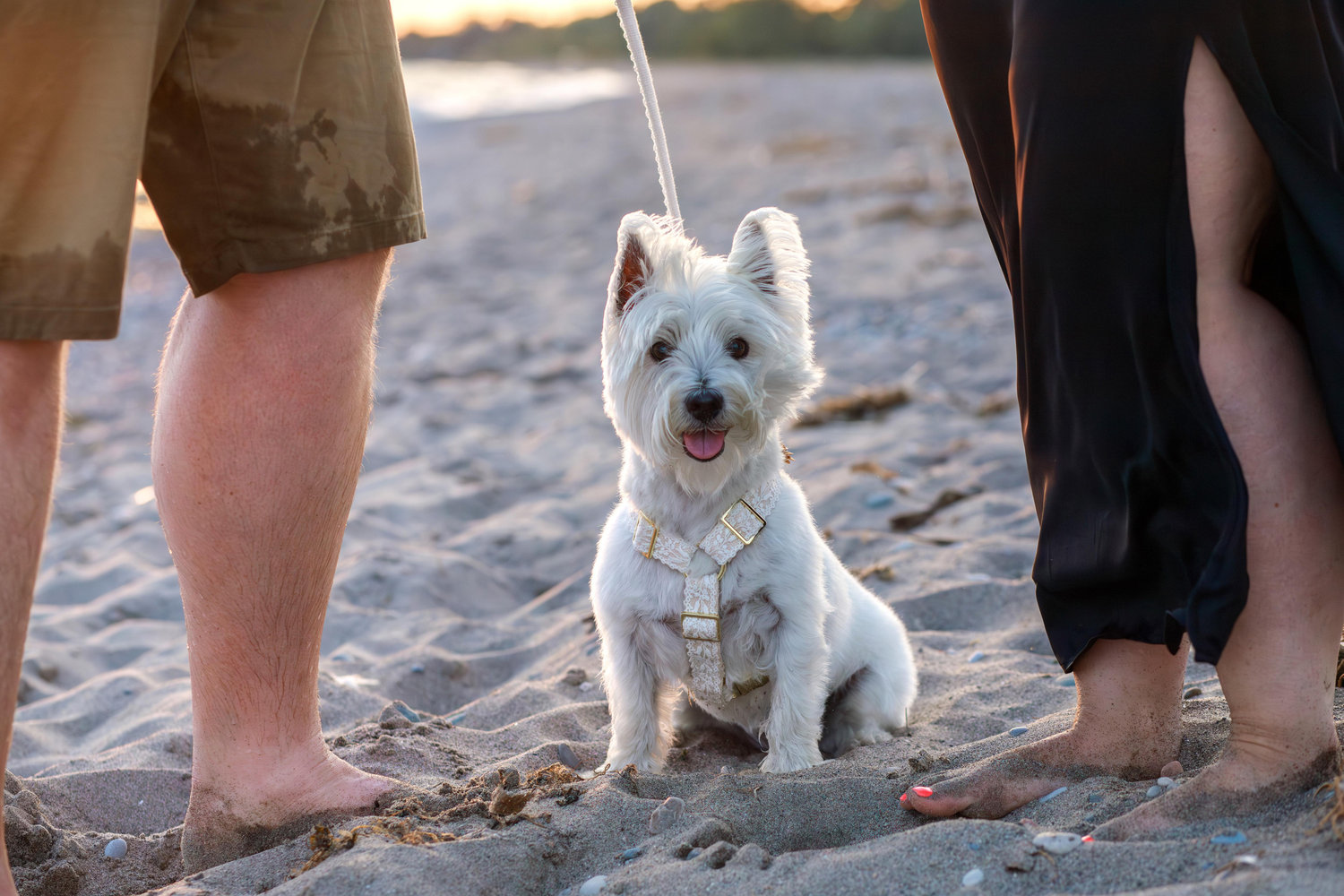 The Wedding Website of Natalie Vallee and Ryan Wilkes