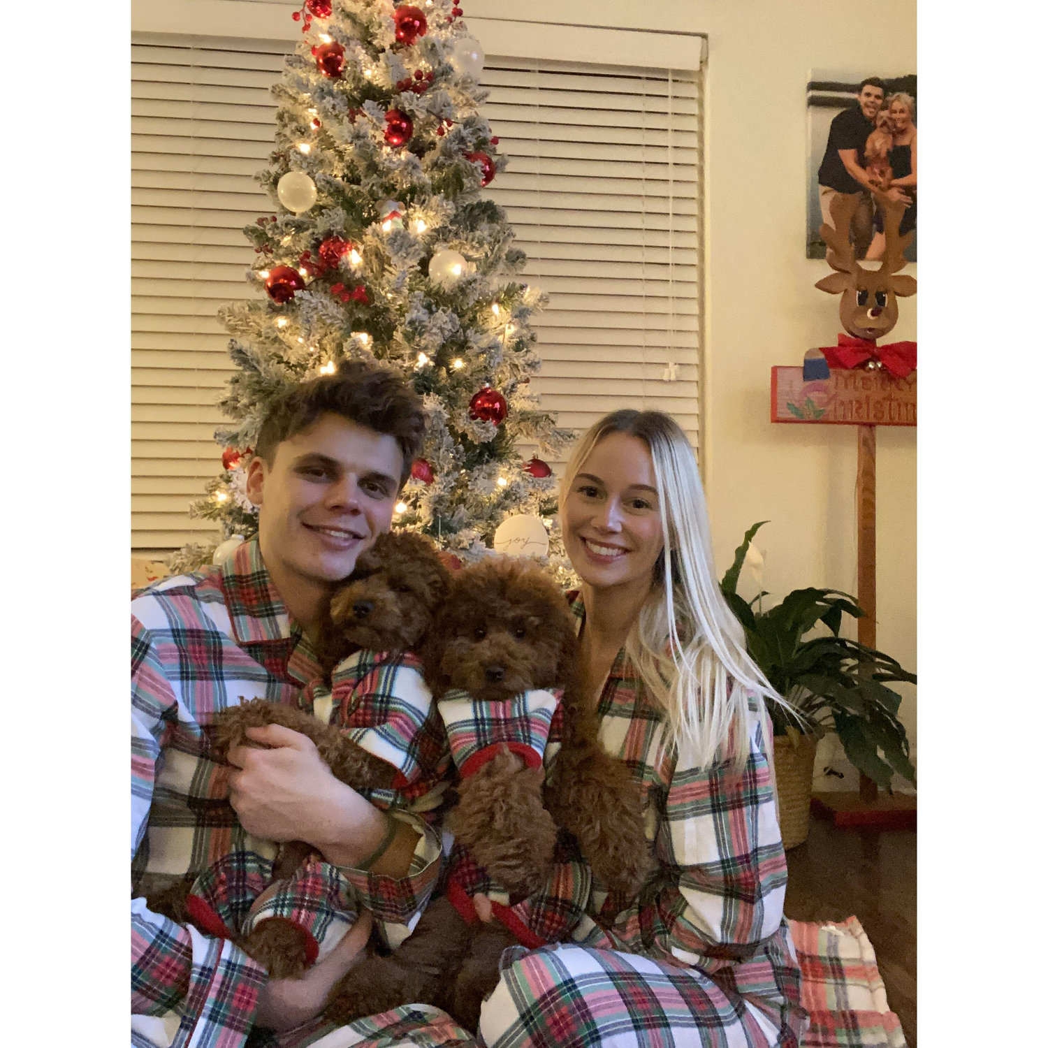 Drew and I are obsessed with our boys!  We are the crazy dog parents.