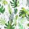 Tropical Leaf