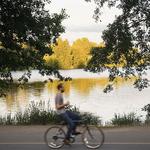 City Activities