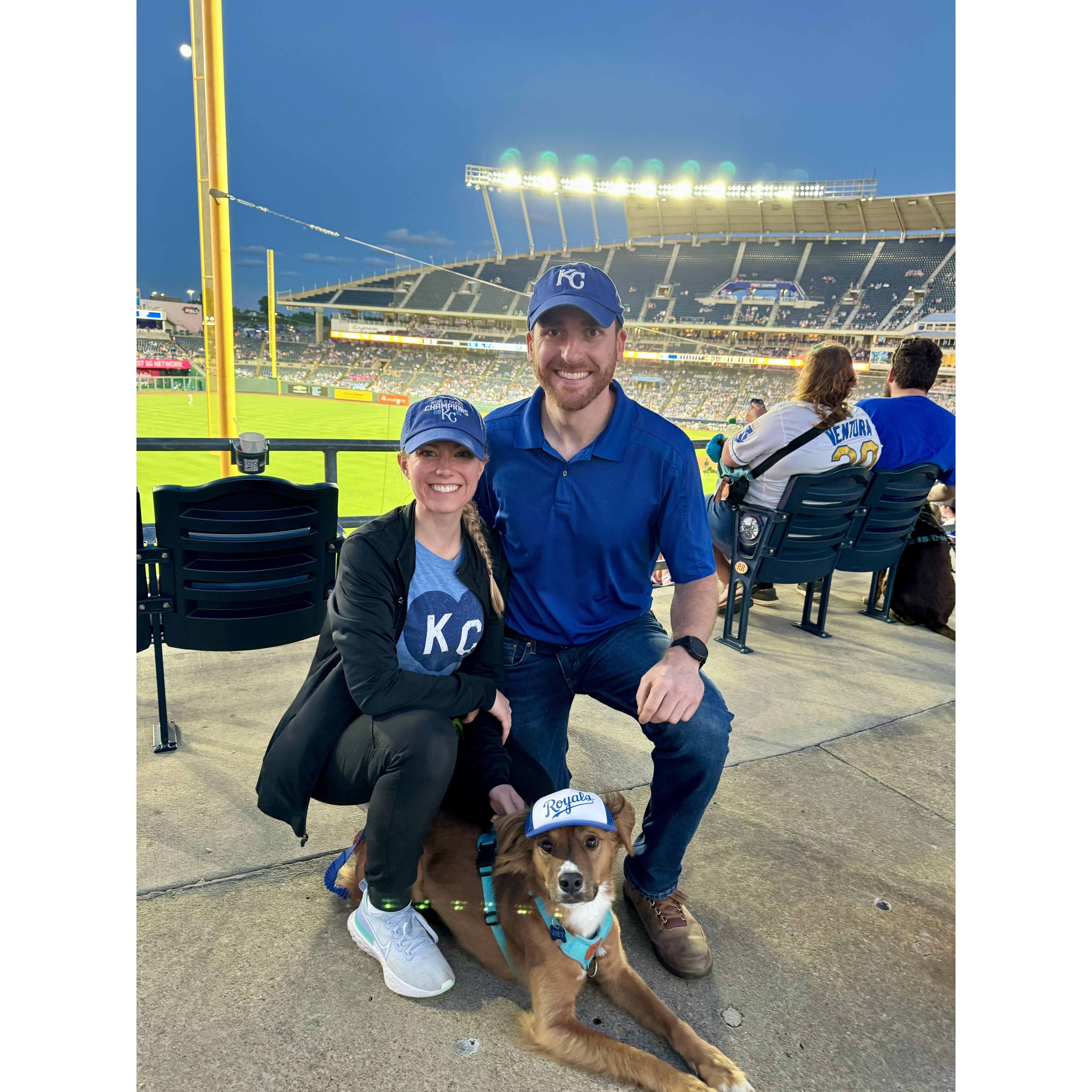 Bark at the Park 2024
