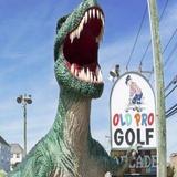 Old Pro Golf