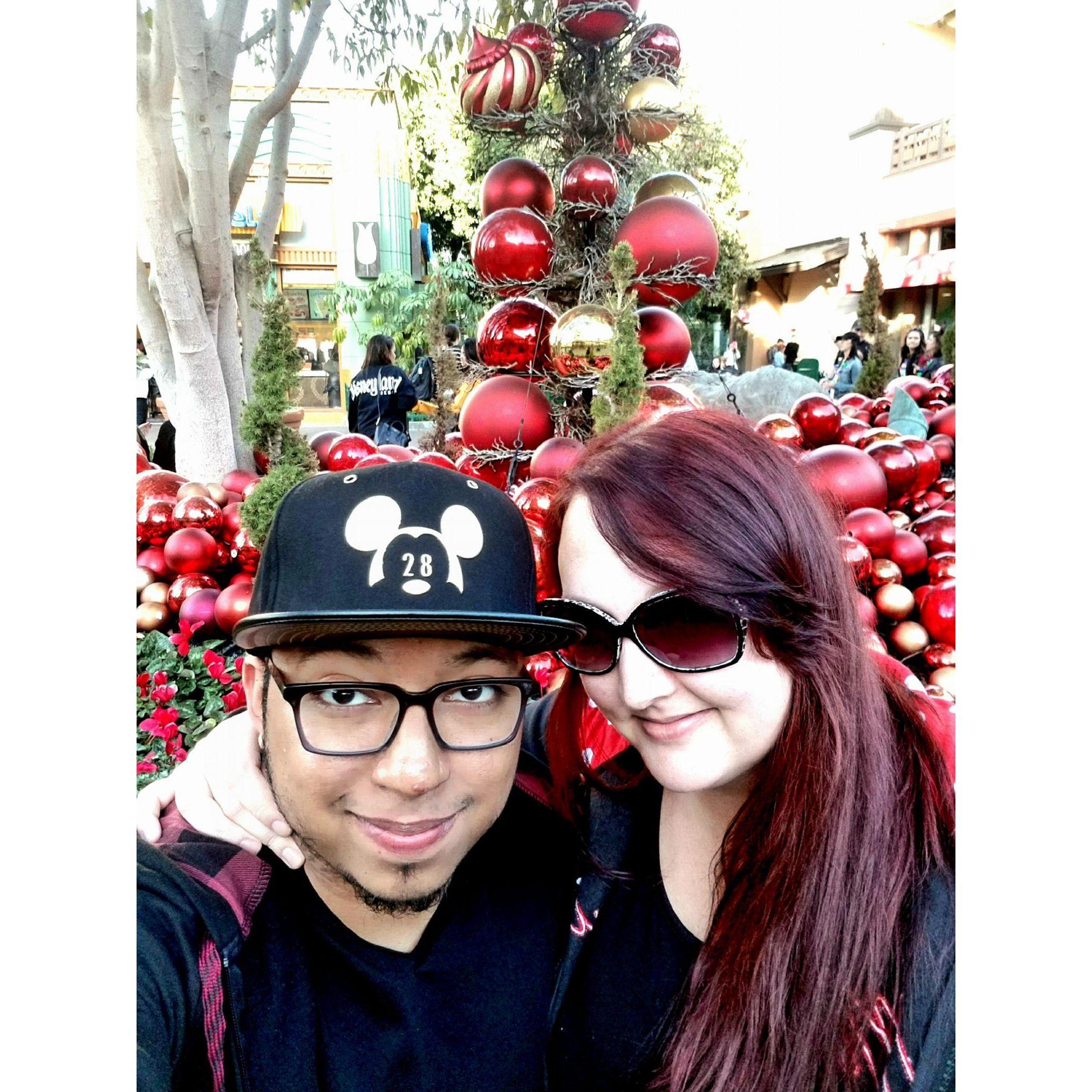 Christmas in Disneyland 2017