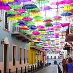 Umbrella Street