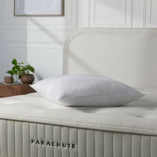 Feather Euro Pillow Insert