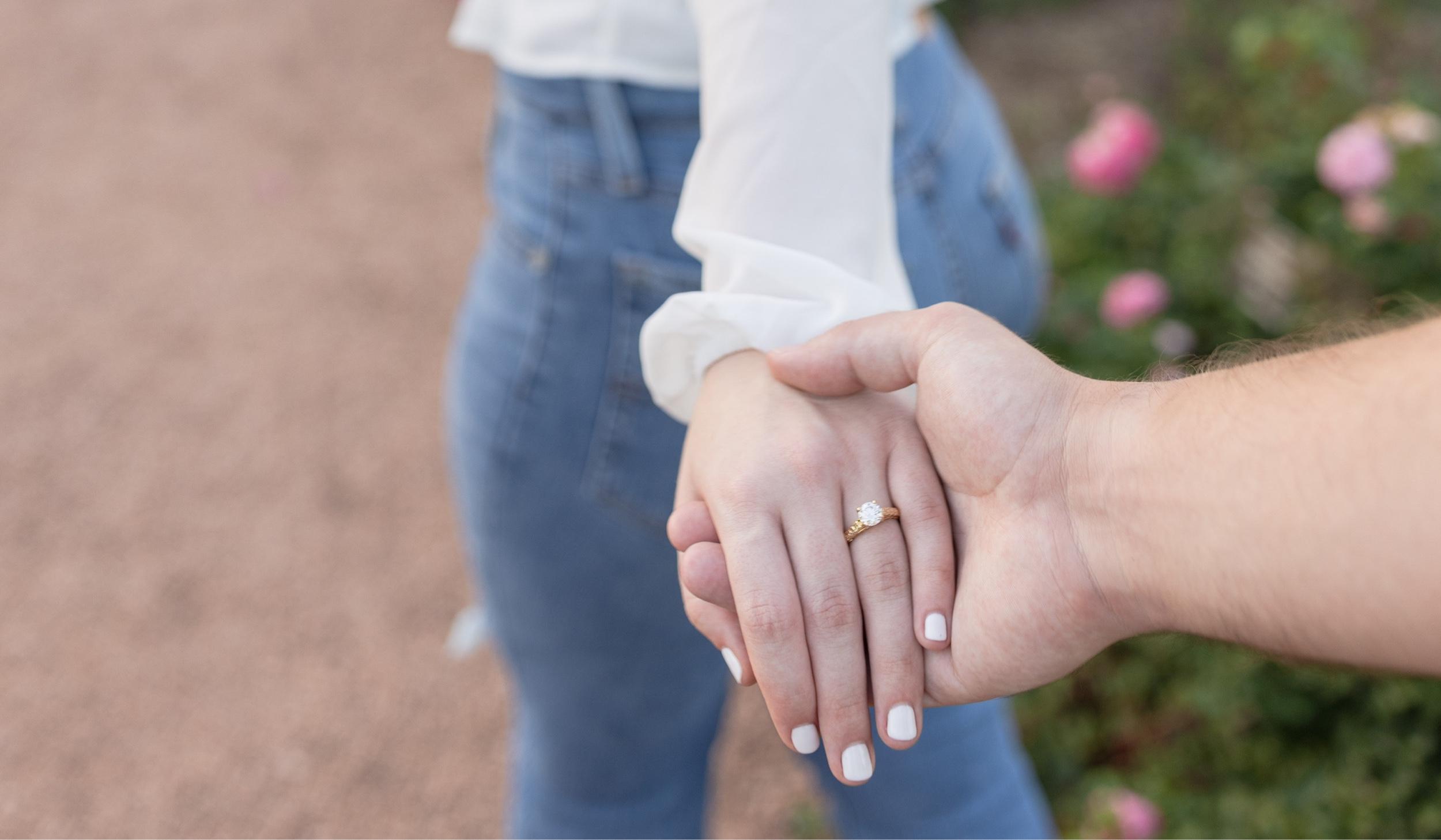 Hero Slideshow Image 3