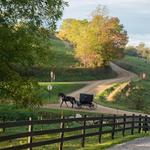 Amish Country