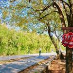 Katy Trail (Dallas)