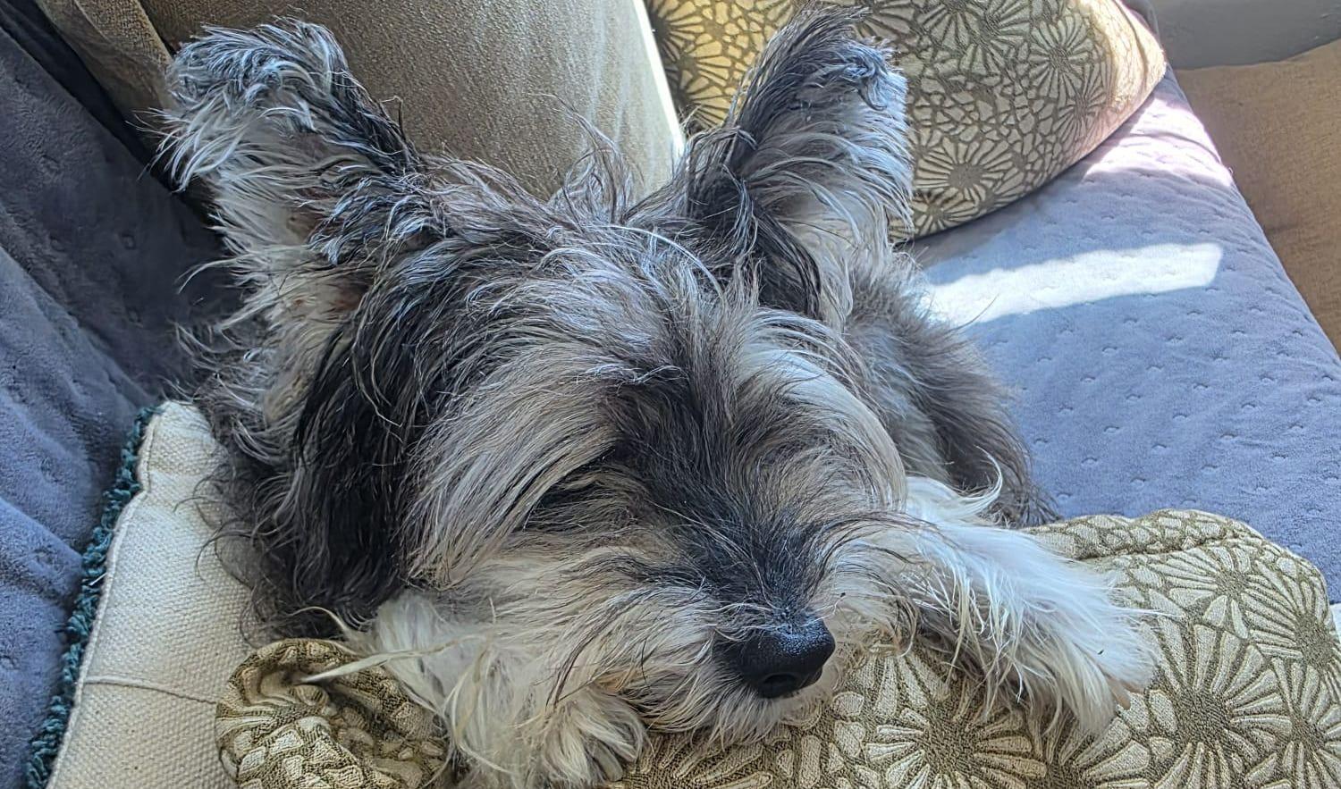 f549ff57-e480-4c04-b95a-c7a5dc16c278