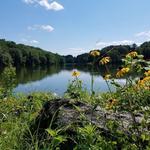 Rockefeller State Park Preserve