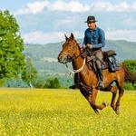 Zabola Estate - Horse Back Riding