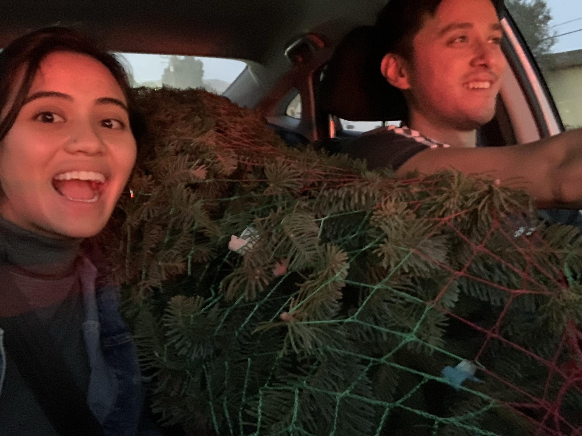 With our Christmas Tree!