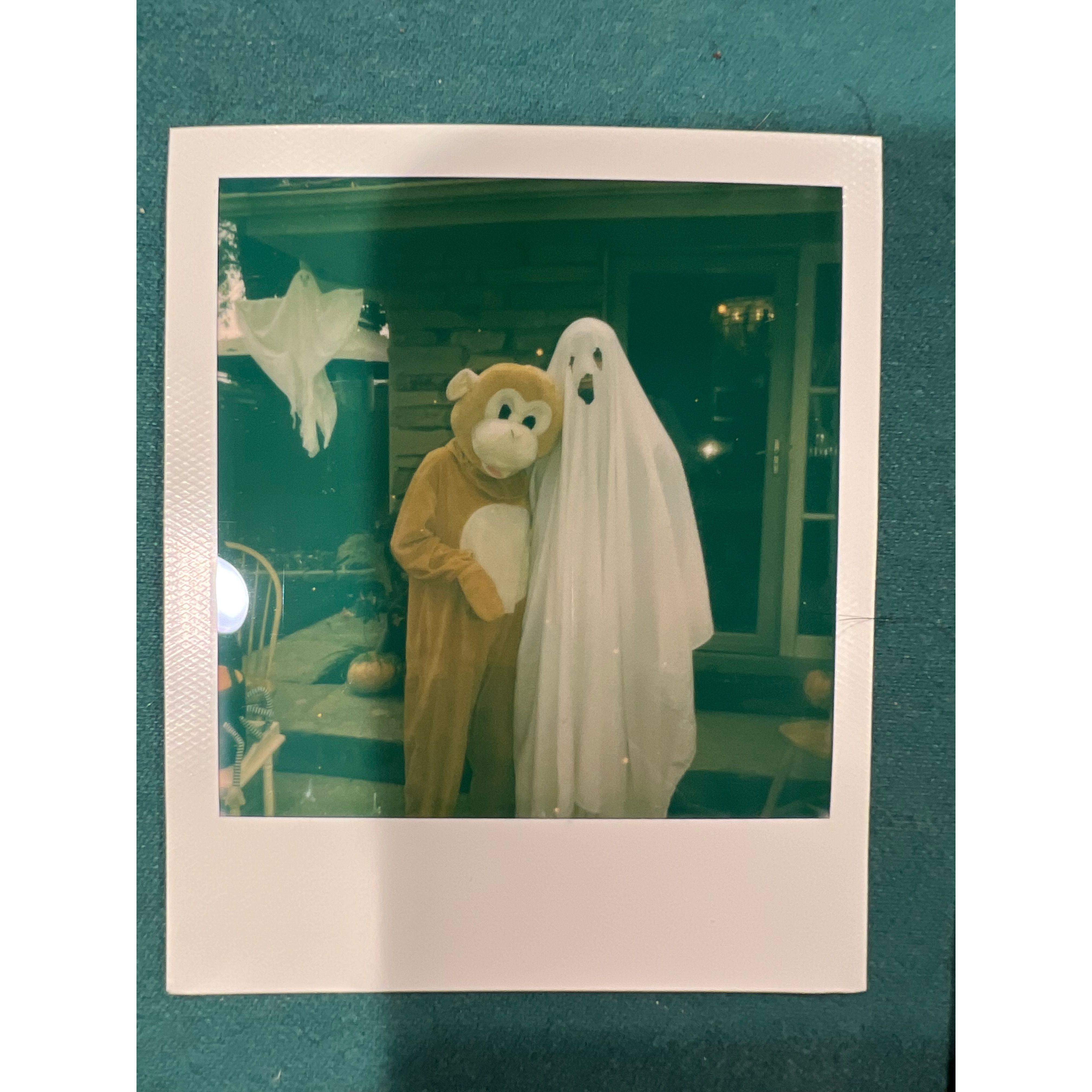 Spoookyyy scarrry skeleton