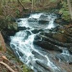 Falling Waters Preserve